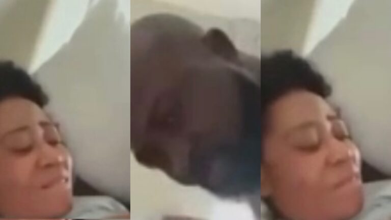 Nigerian nollywood actress video